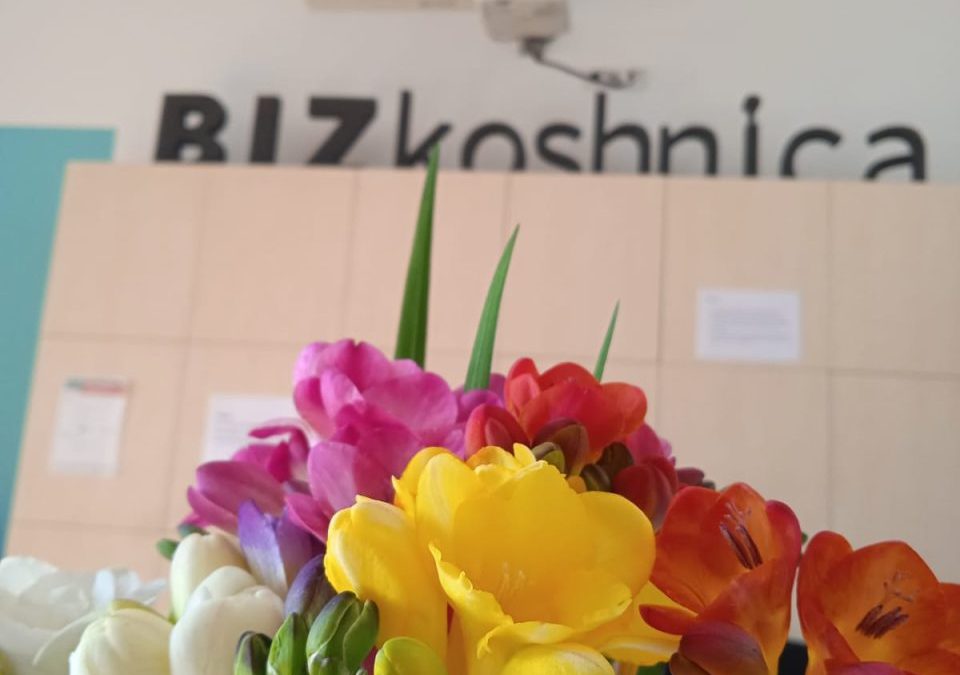 Zašto odabrati korporativni coworking u BIZkoshnici?
